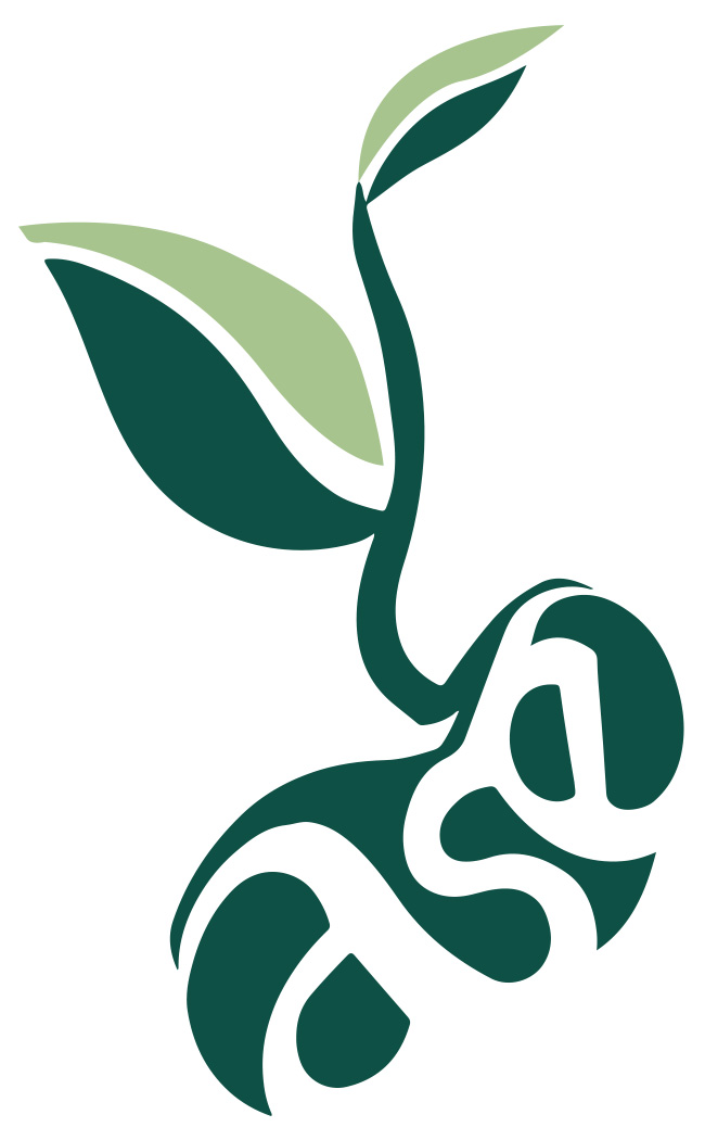 ASE logo